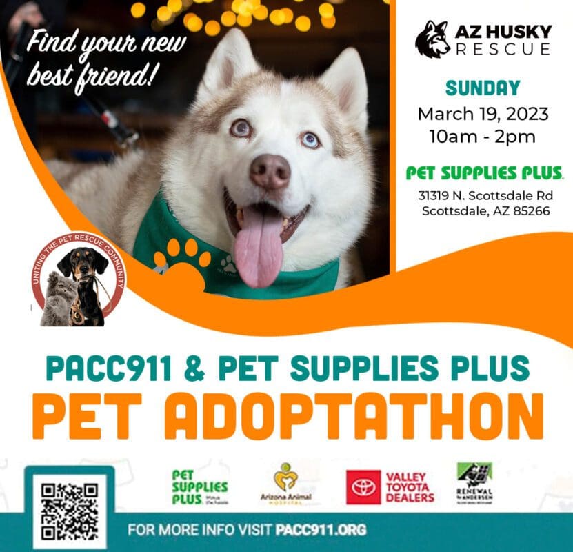 PACC911 Pets Supplies Plus Adoptathon AZ Husky Rescue