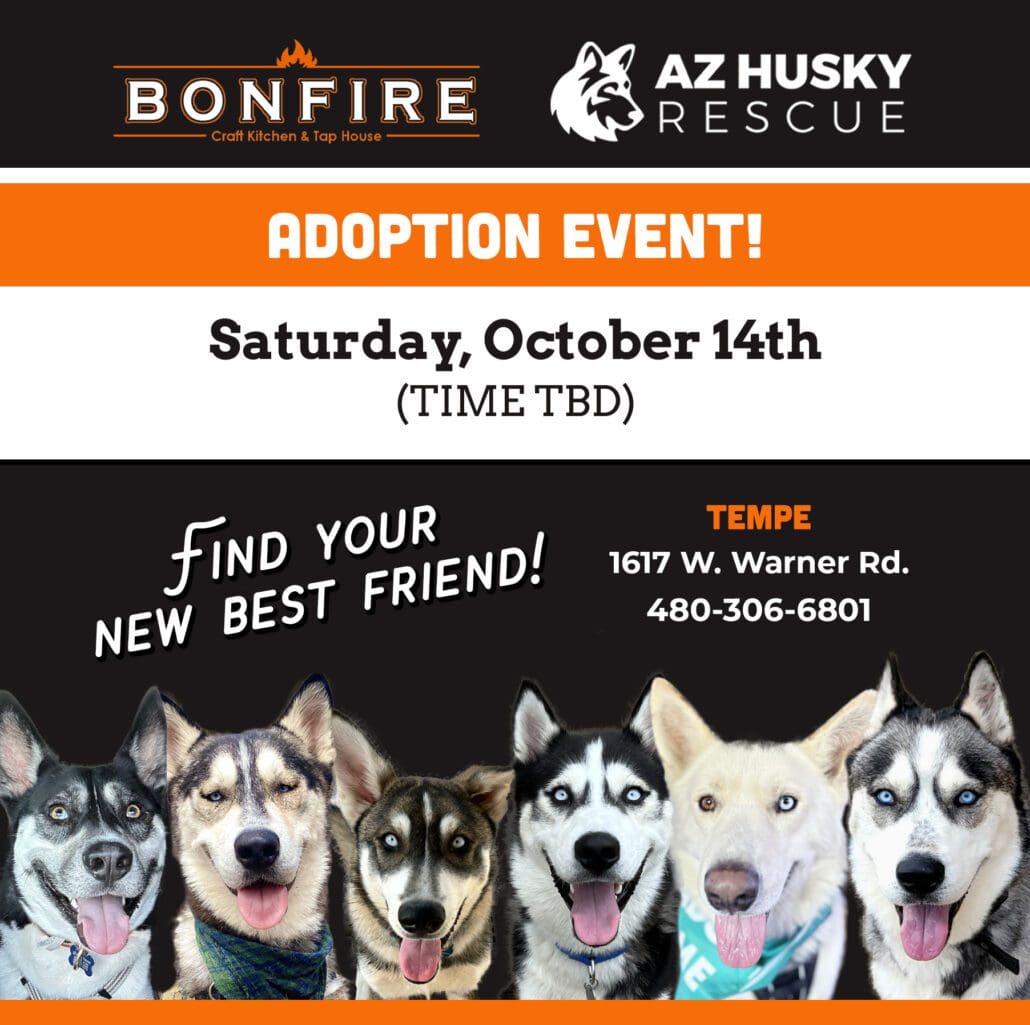 Events - Dog Rescue Arizona