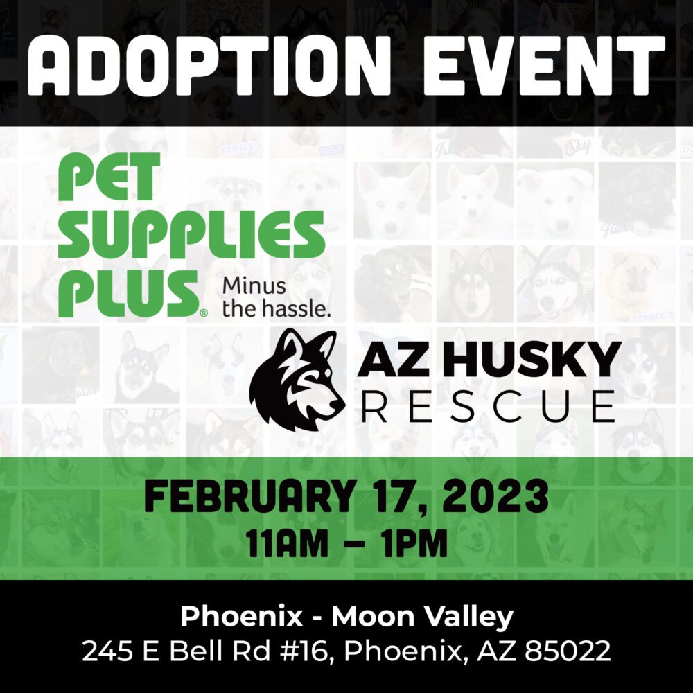 Adoption Event at Pet Supplies Plus — AZ Husky Rescue